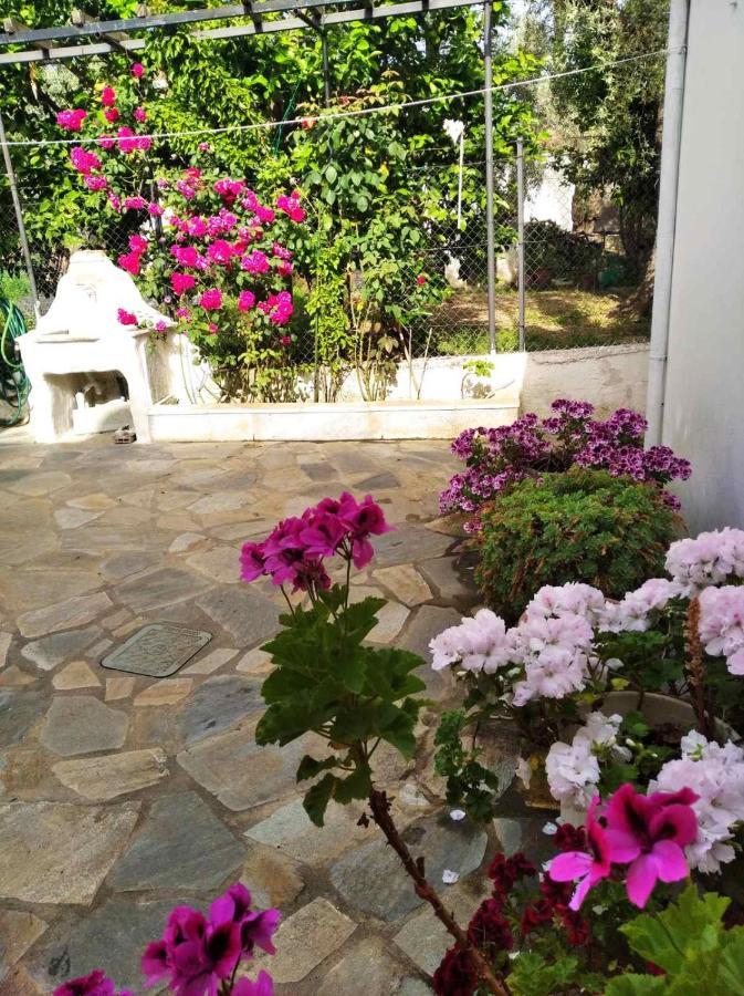 Asteria House Villa Kala Nera Exterior photo